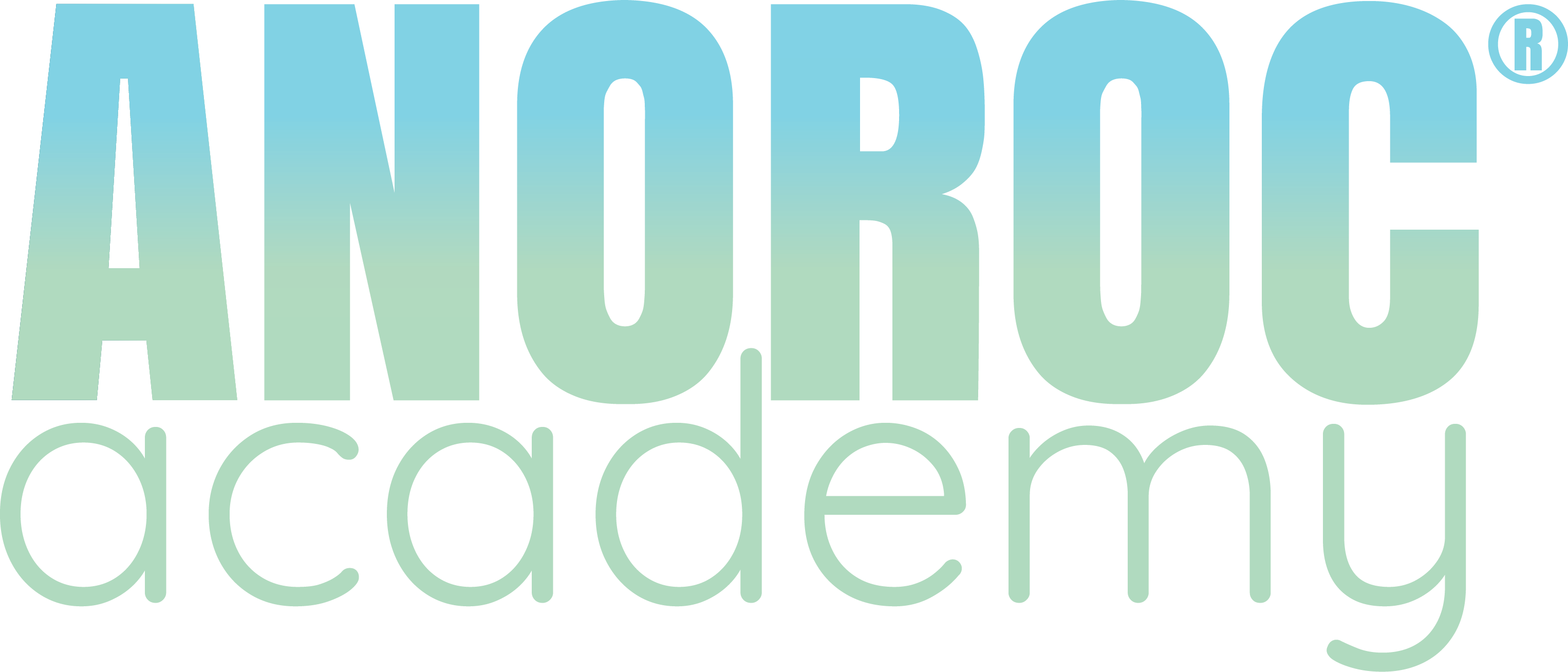 logo ANOROC academy